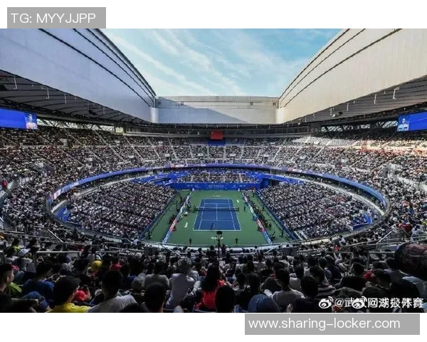 武汉网球队的崛起与发展探秘展现中国网球新力量