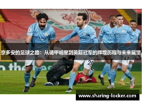 京多安的足球之路：从德甲明星到英超冠军的辉煌历程与未来展望
